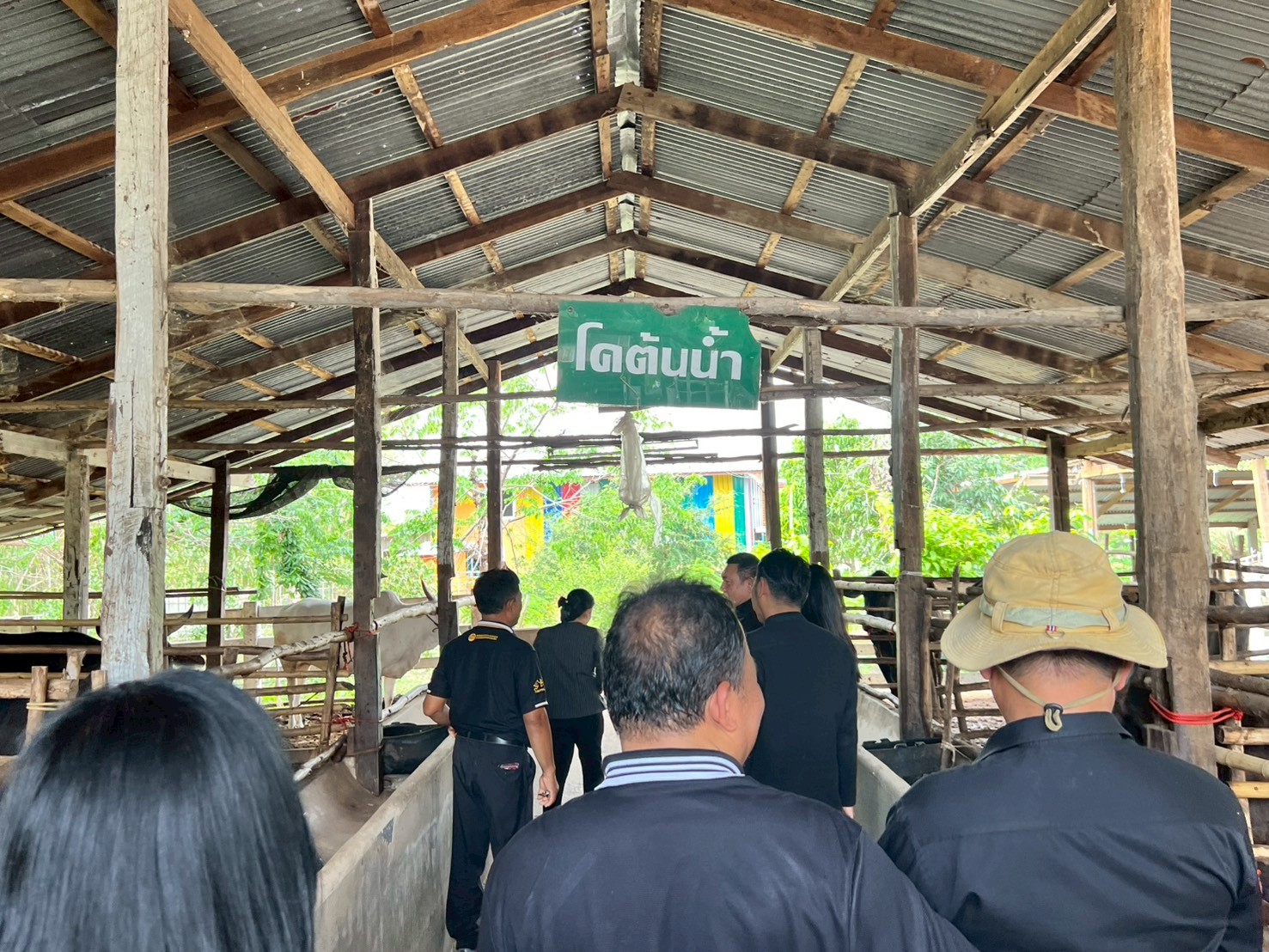 title - เลขาธิการ ส.ป.ก. ตรวจเยี่ยม ส.ป.ก.ยโสธร และลงพื้นที่ตรวจเยี่ยมกลุ่มวิสาหกิจชุมชนโคขุนหนองแหน และศูนย์ต้นแบบเกษตรทฤษฎีใหม่ในเขตปฏิรูปที่ดิน (นายสุริยา  หงษ์ลอยวงษ์) จังหวัดยโสธร